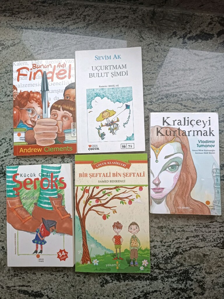 ortaokul için kitap