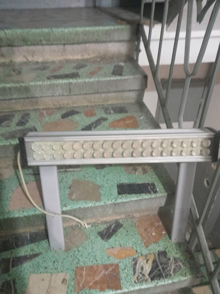 LET BÜYÜK PIREKJETÖR - 2
