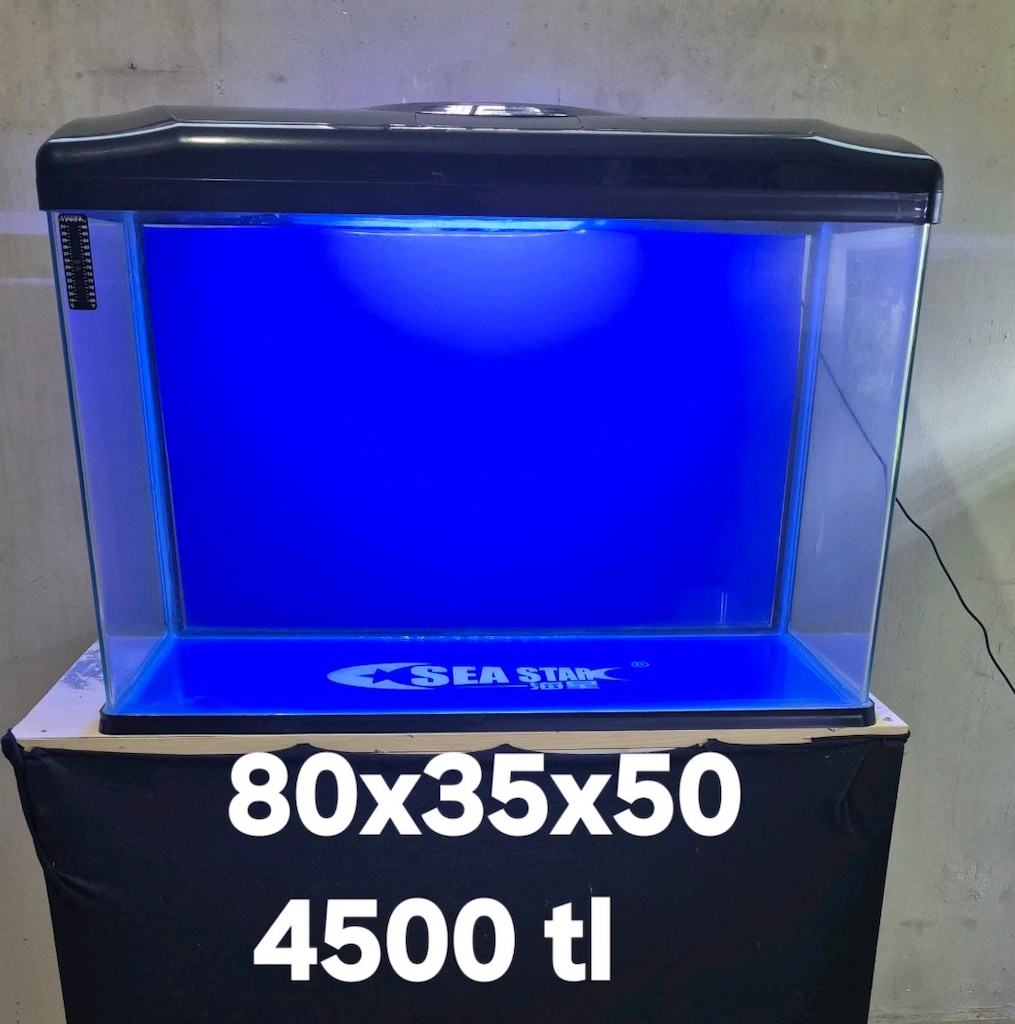 80 CM İTHAL AKVARYUM - 5