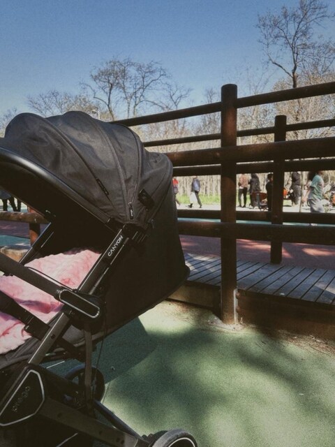 Prego Canyon Bebek Arabası