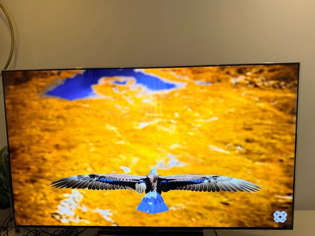 LG OLED C2 55” OLED evo 4K 120Hz | Faturalı | Temiz ve Sorunsuz - 5