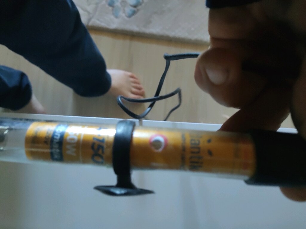 balıklarım soğuk sudan etkilenmesin diyen ısıtıcı yok diyenez - 2