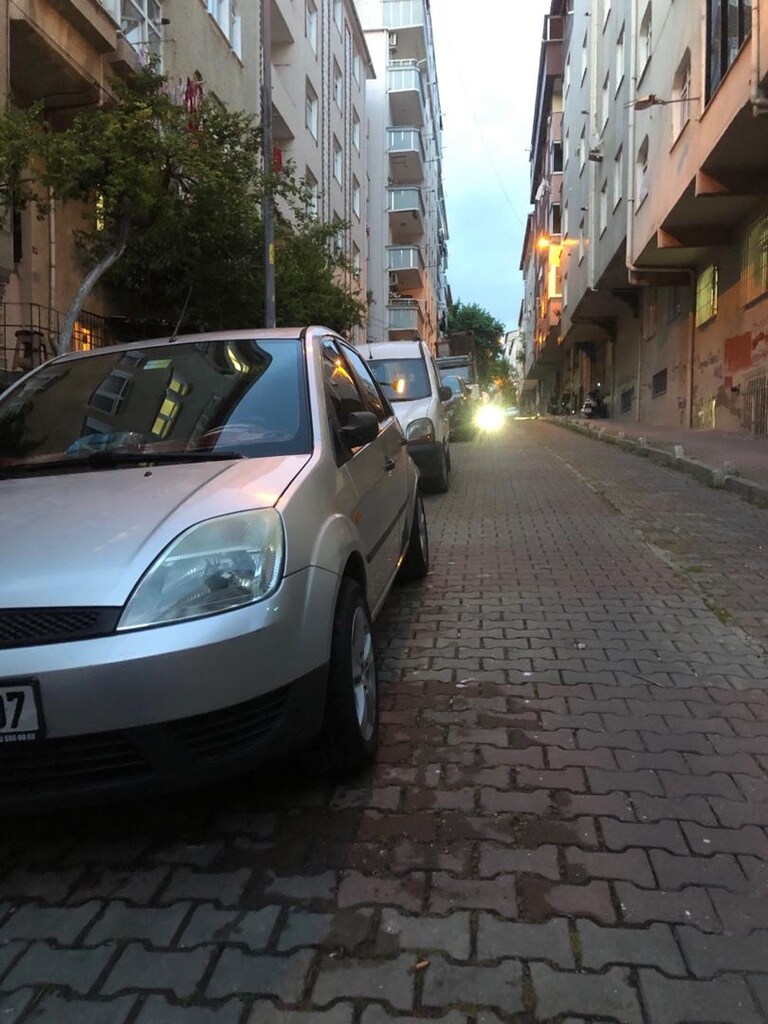 tertemiz aile aracı - 2