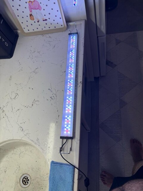 orion led