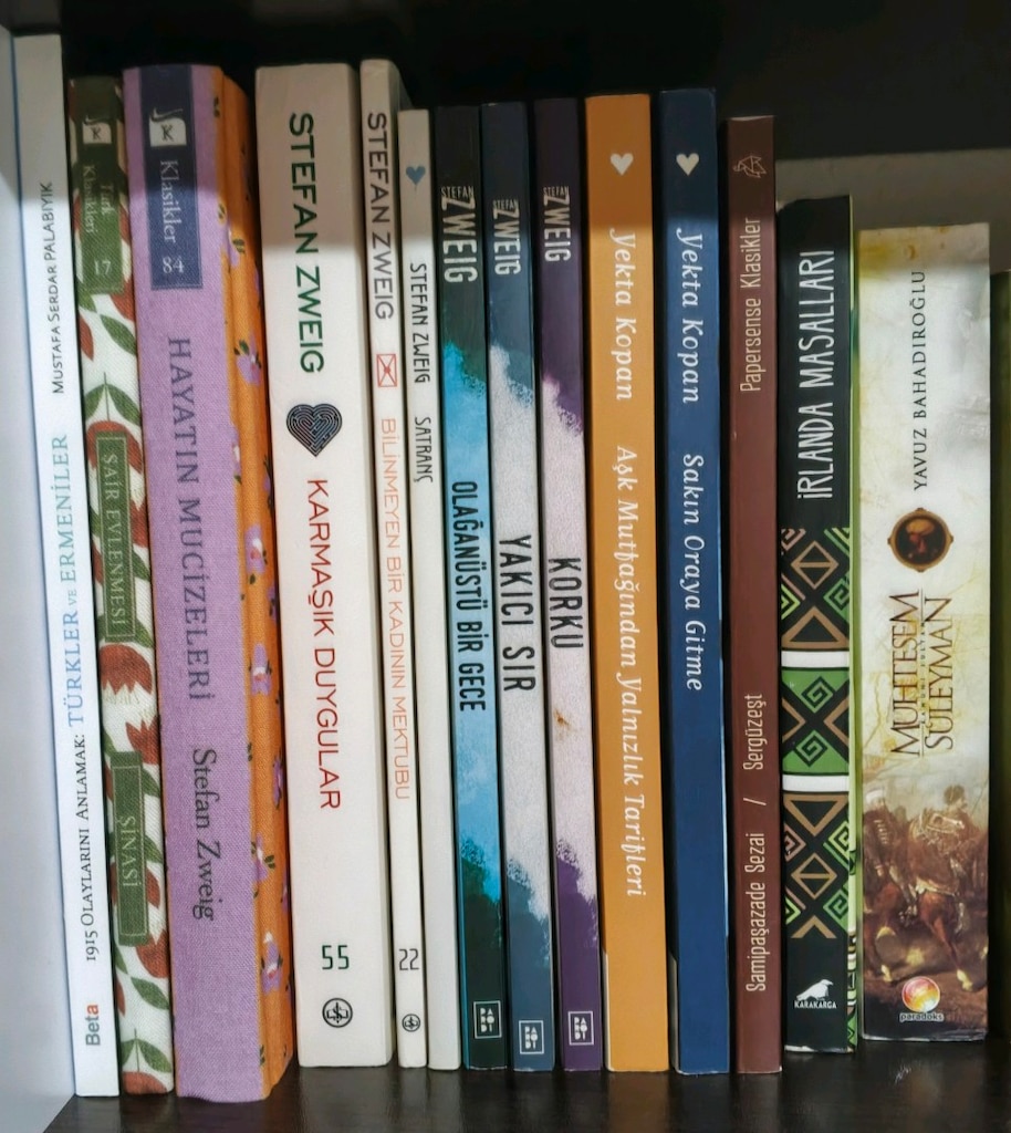 orijinal kitap çeşitleri - 10