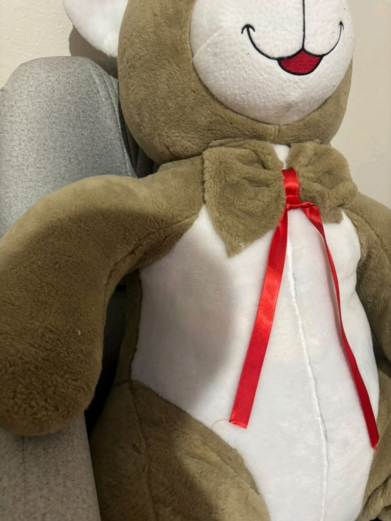 dev ayıcık - 3