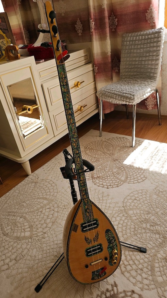 prof. elektro saz - 7