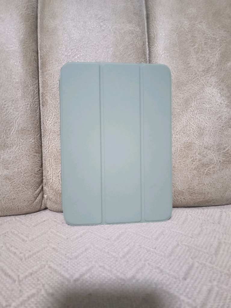 ipad mini - 5