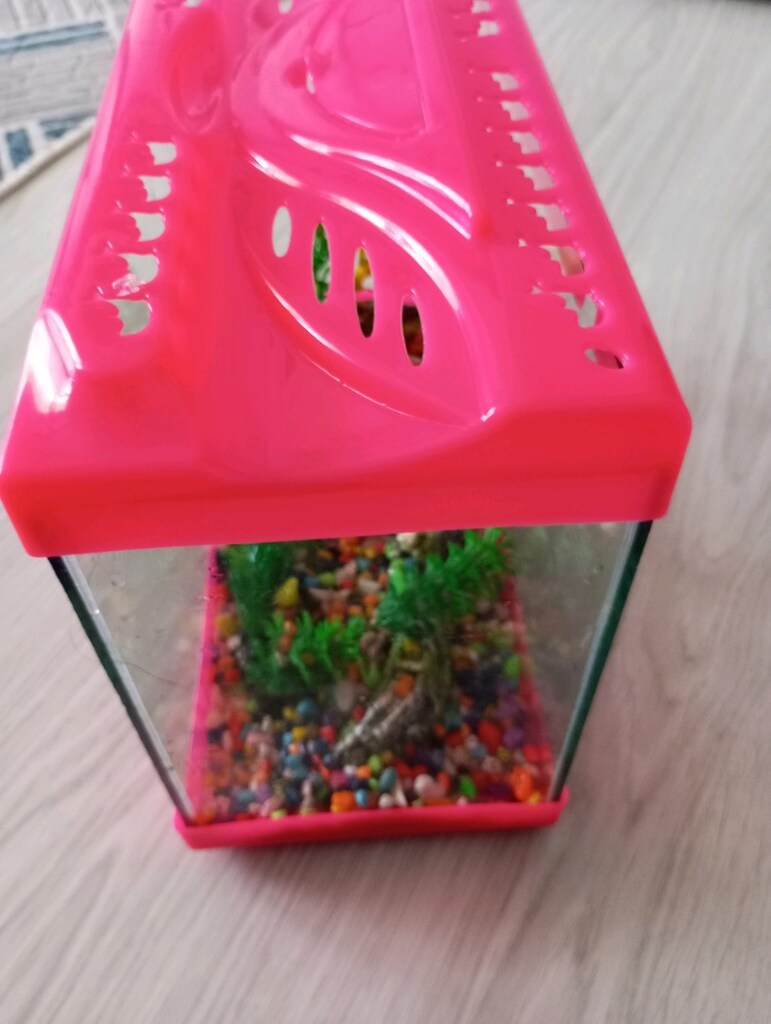 34_15 cm ölçülerinde akvaryum - 3