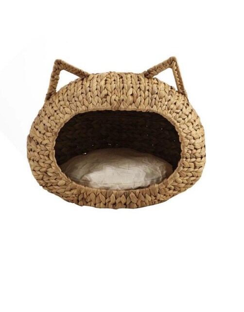Chakra Kedi Evi