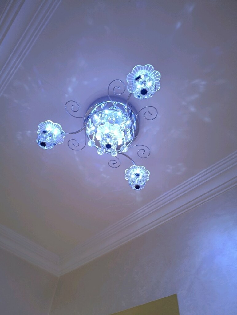 ledli avize - 4