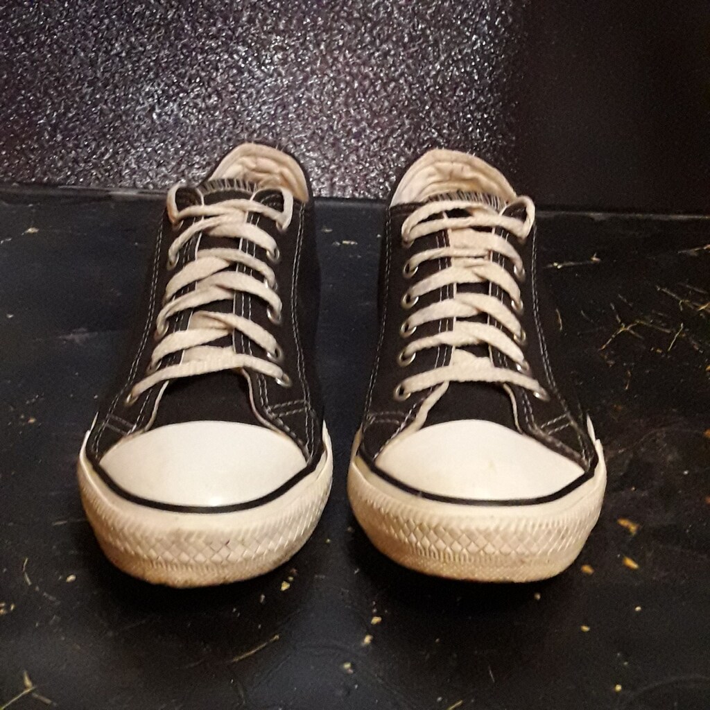 Polaris Converse 39 Numara - 2