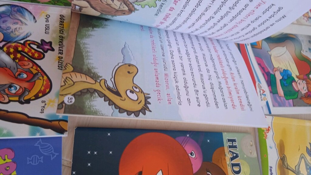 11 adet karışık kitap 2 ve 3 sınıf için - 5