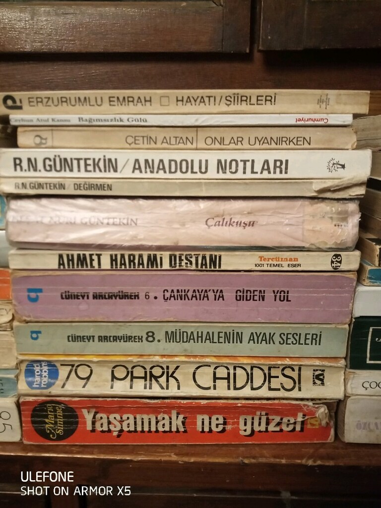 eski baskı vintage kitap - 3