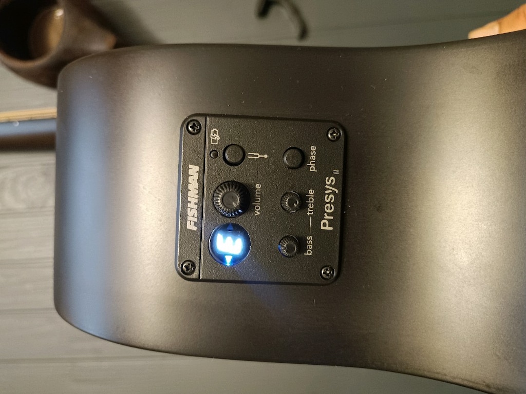 Sigma Elektro Akustik Gitar - 5