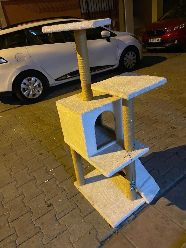 kedi Evi - 5
