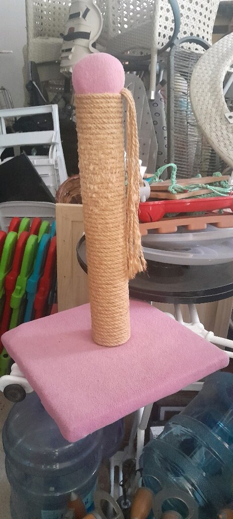 Kedi tırmalama - 2