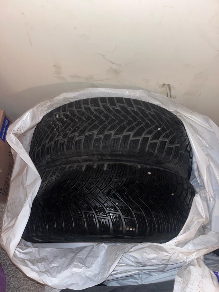PETLAS 195/55R16 PT565 4 MEVSİM 2023 4 LASTİK - 3