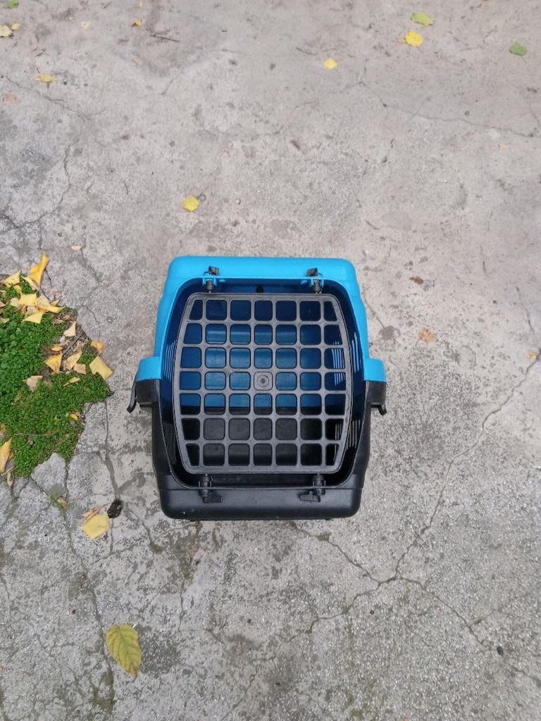 Hediyeli Kedi Taşıma Çantası/Puset - 3