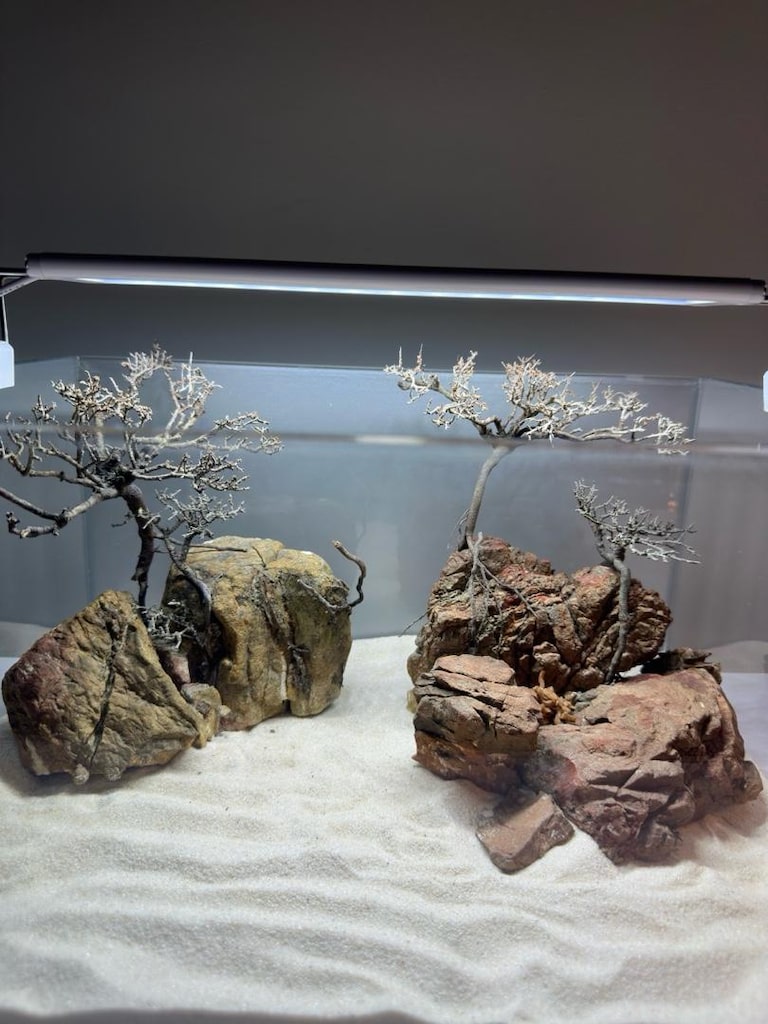 Creaqua akvaryum - 3