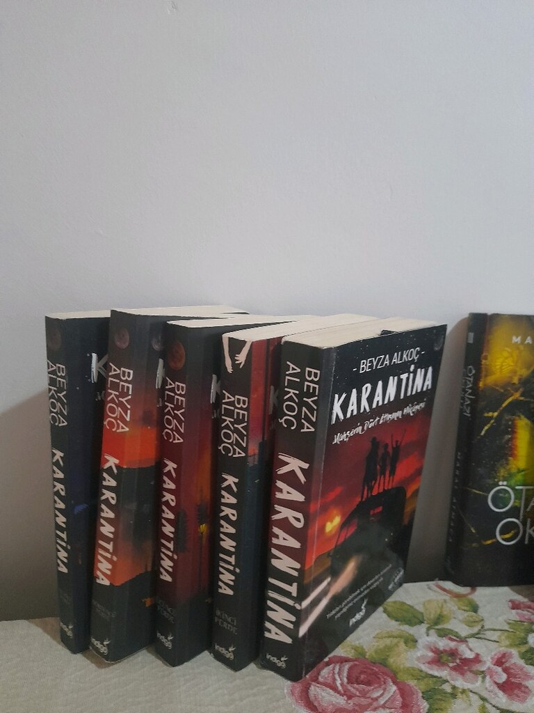 Beyza alkoçl karantina serisi - 2