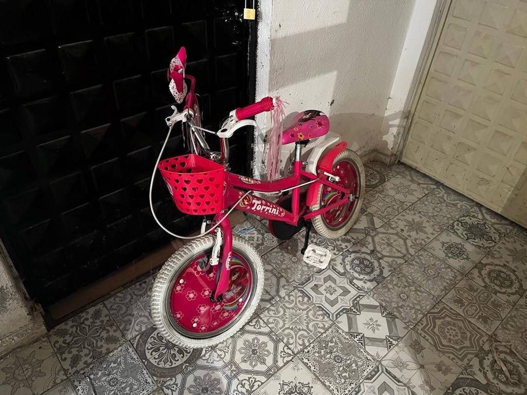 Torrini Pembe Kız çocuk Bisikleti