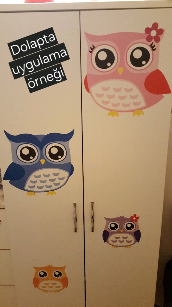 Renkli Baykuş Duvar Sticker Seti - 7