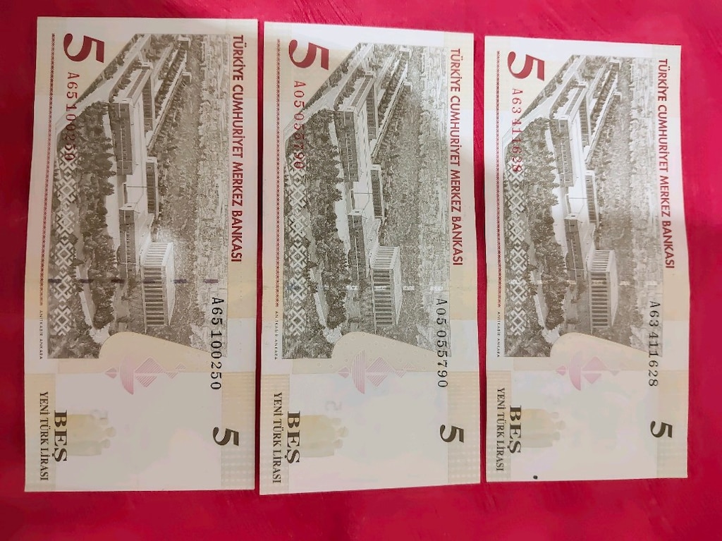 2005 5 YTL Yeni Türk Lirası – 3’lü Koleksiyonluk Lot – Çil/Çile Yakın - 6