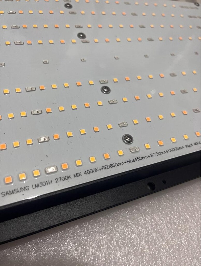 240w Lm301h Quantum Board Bitki Yetiştirme Lambası - 6