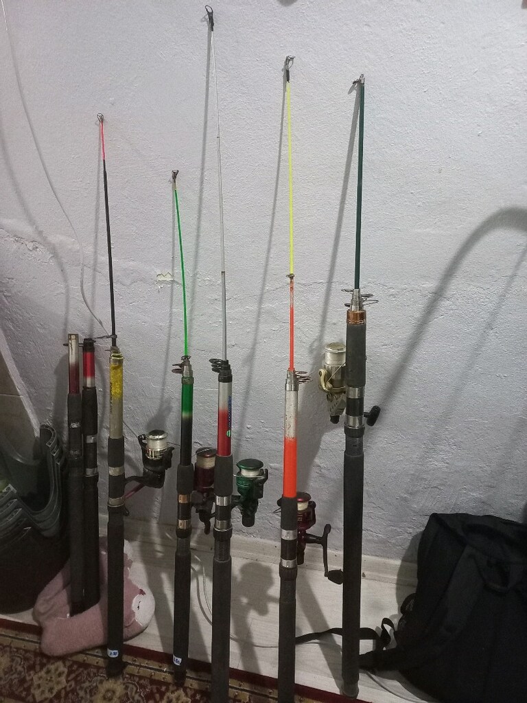 Balık holtasi 3,50 saglam temiz tanesi 750 tr - 3