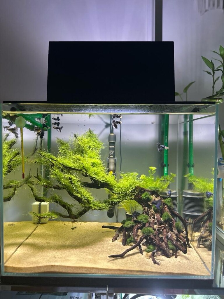 ULTRA CLEAR TASARIM AKVARYUM - 4