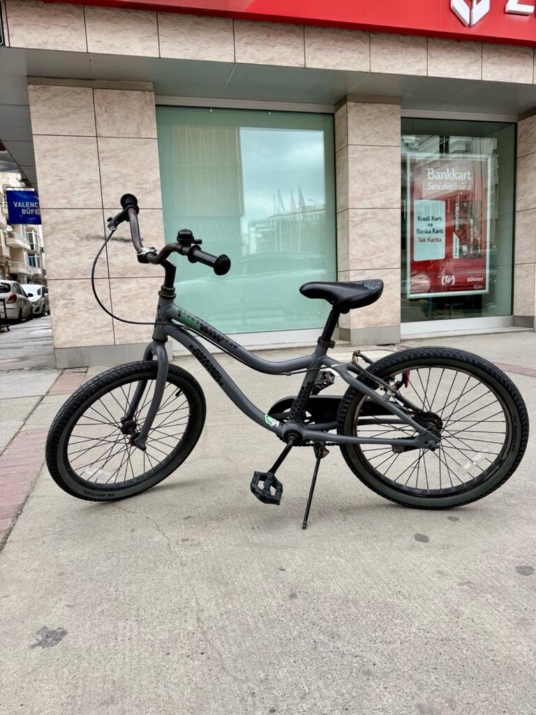 Giant Moda 20 inch çocuk bisikleti
