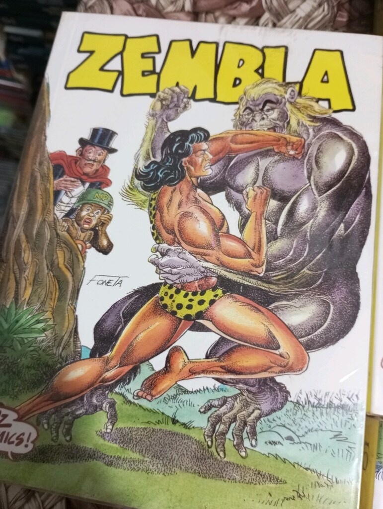 zembla HOZ comic 1-2-3-4-5 tskım - 4