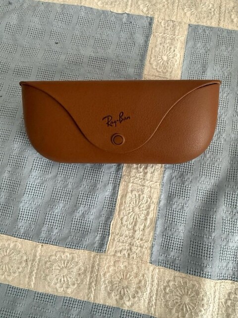 Ray-Ban Meta Wayferar