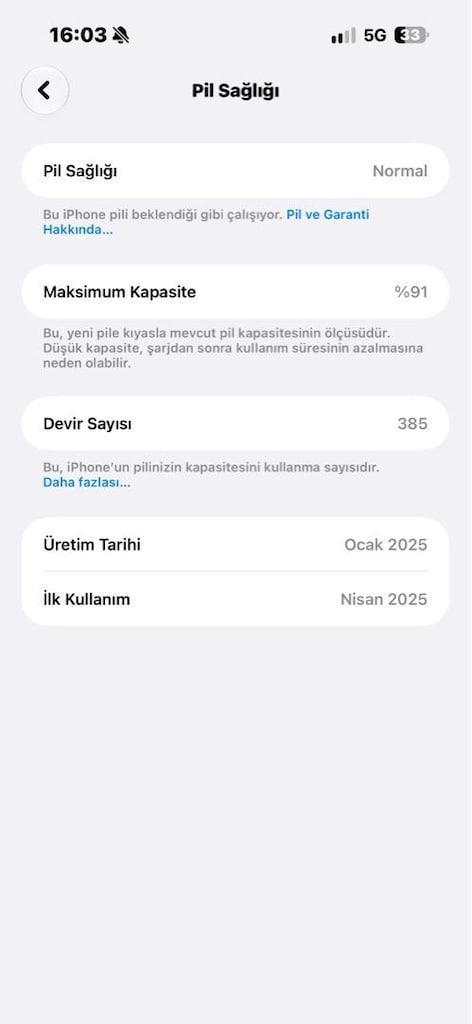 Apple iPhone 16 Pro Max Çöl Titanyum - 3