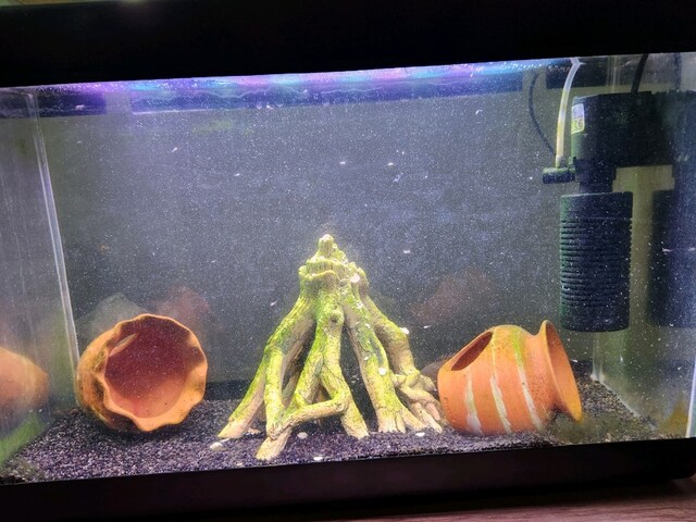 50 cm ful set Akvaryum