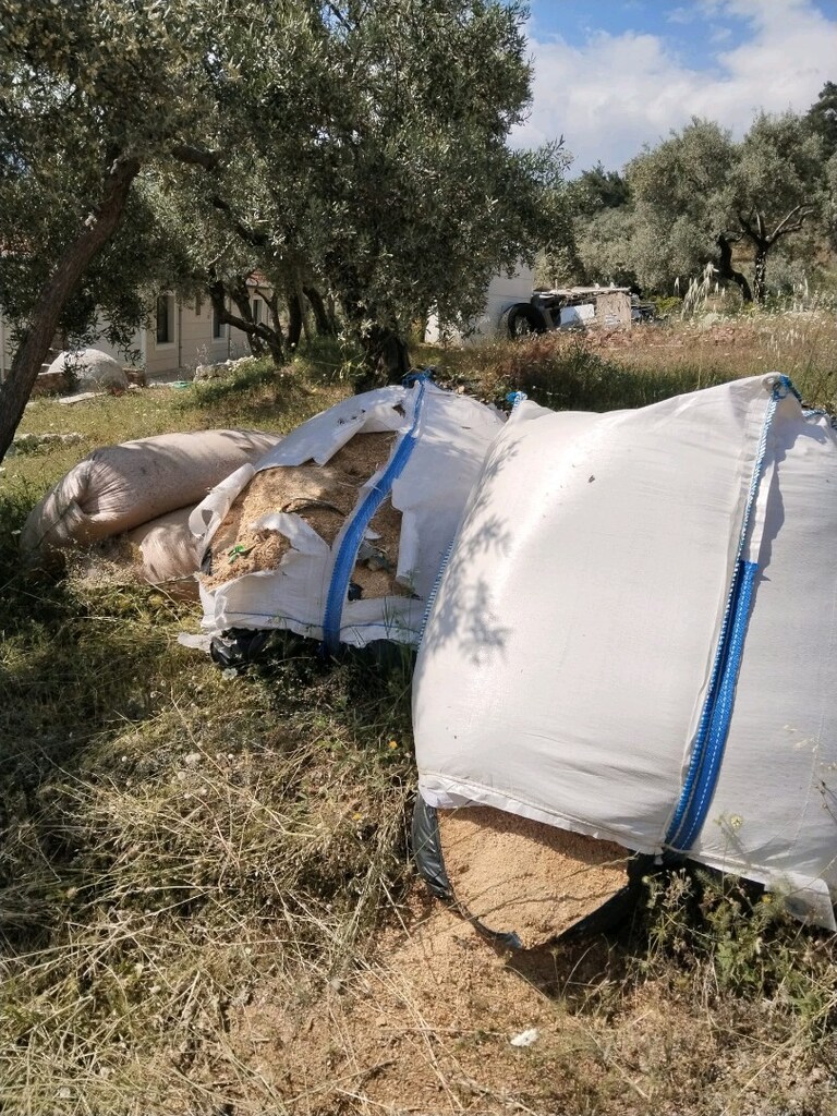 Çam ağacı talaşı, kedi evcil hayvan için - 3