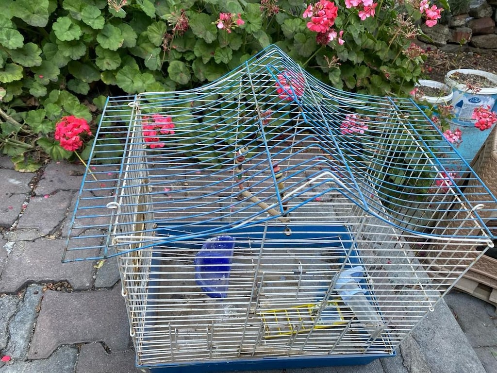 kuş kafesi - 2