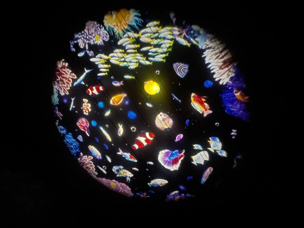 Pococo Galaxy Projektör - 11
