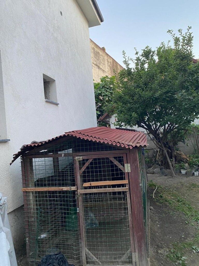 köpek kulübesi - 7