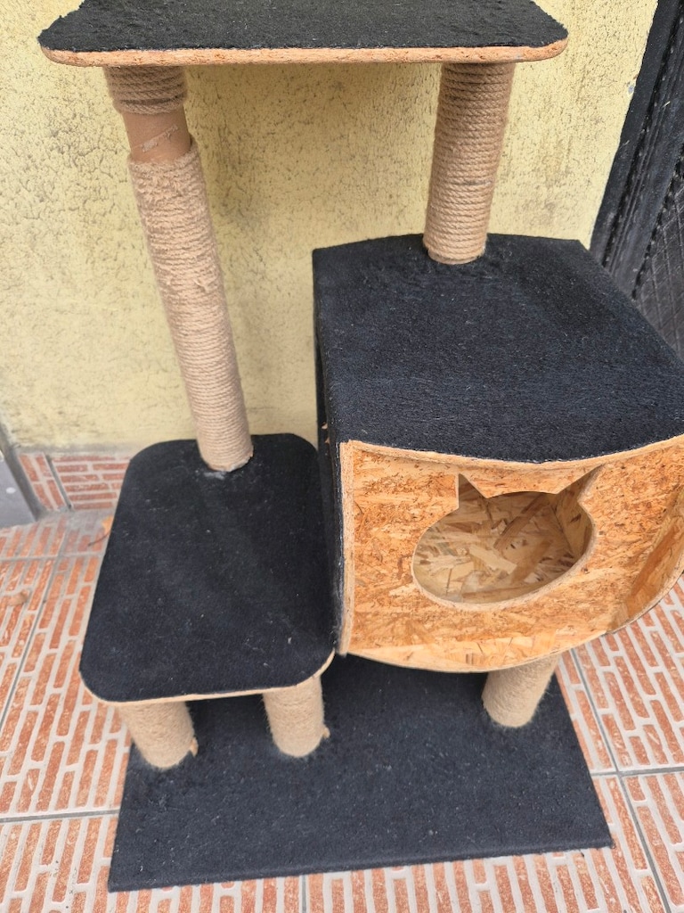 Kedi evi - 4