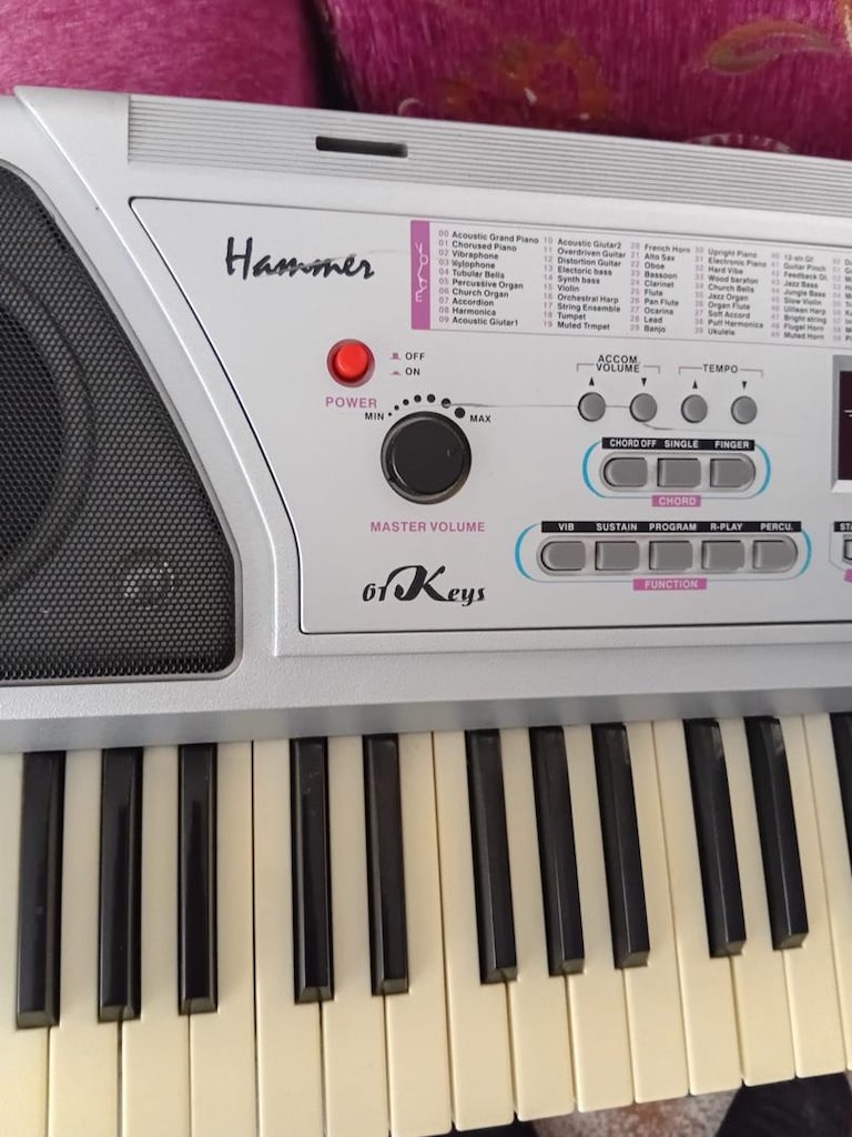 org Hammer 61 Keys - 3