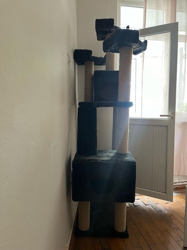 kedi kulesi - 2