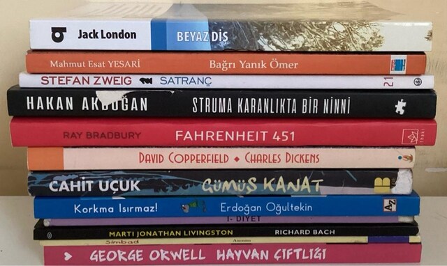 KARIŞIK KİTAP SETİ