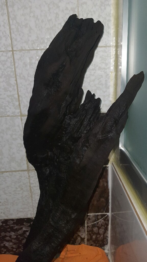 Akvaryum Mangrow Kökü - 6