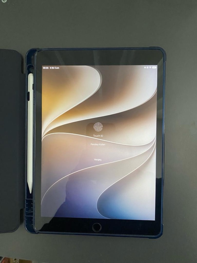 iPad 9. Nesil 256 GB Space Gray | Kutu Faturalı - 9
