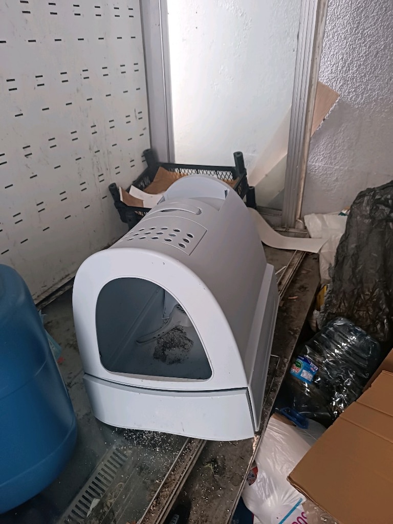 kedi veya köpek yuvası - 2