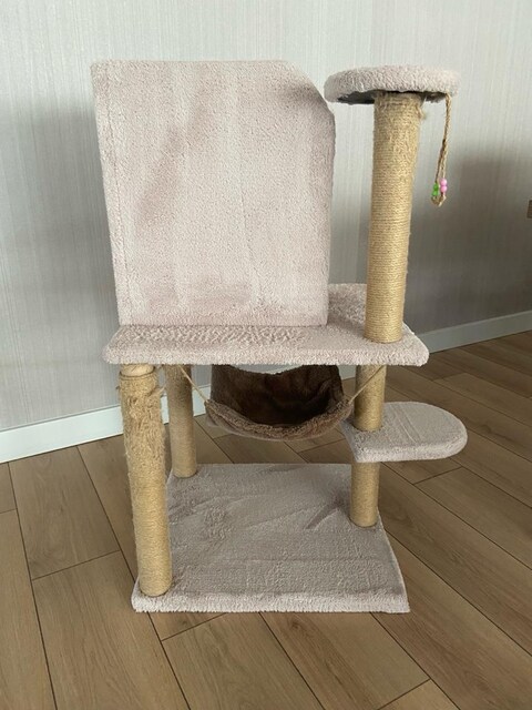 Tertemiz kedi evi