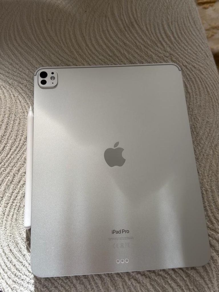 ipad pro m4 13inç 256 gb - 6