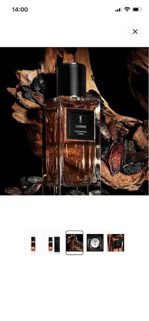 YSL